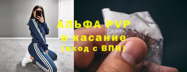мет Бородино