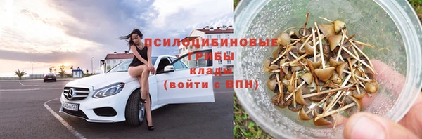 мет Бородино