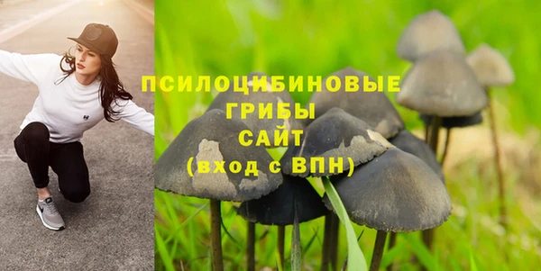 ГАЛЛЮЦИНОГЕННЫЕ ГРИБЫ Бронницы